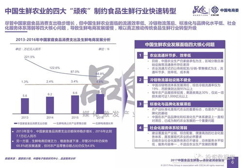 2017中國食品生鮮數字消費者洞察報告 從數據中洞察新消費趨勢